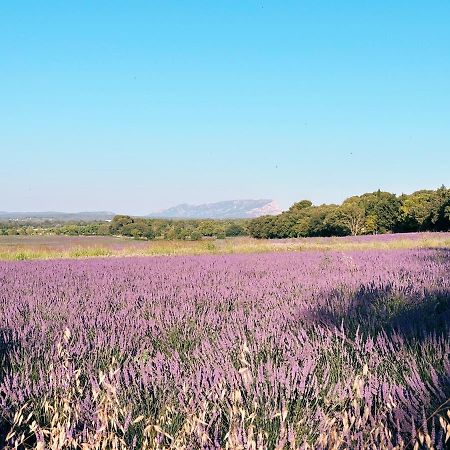 Maison Francoise Bed & Breakfast Aix-en-Provence Eksteriør bilde