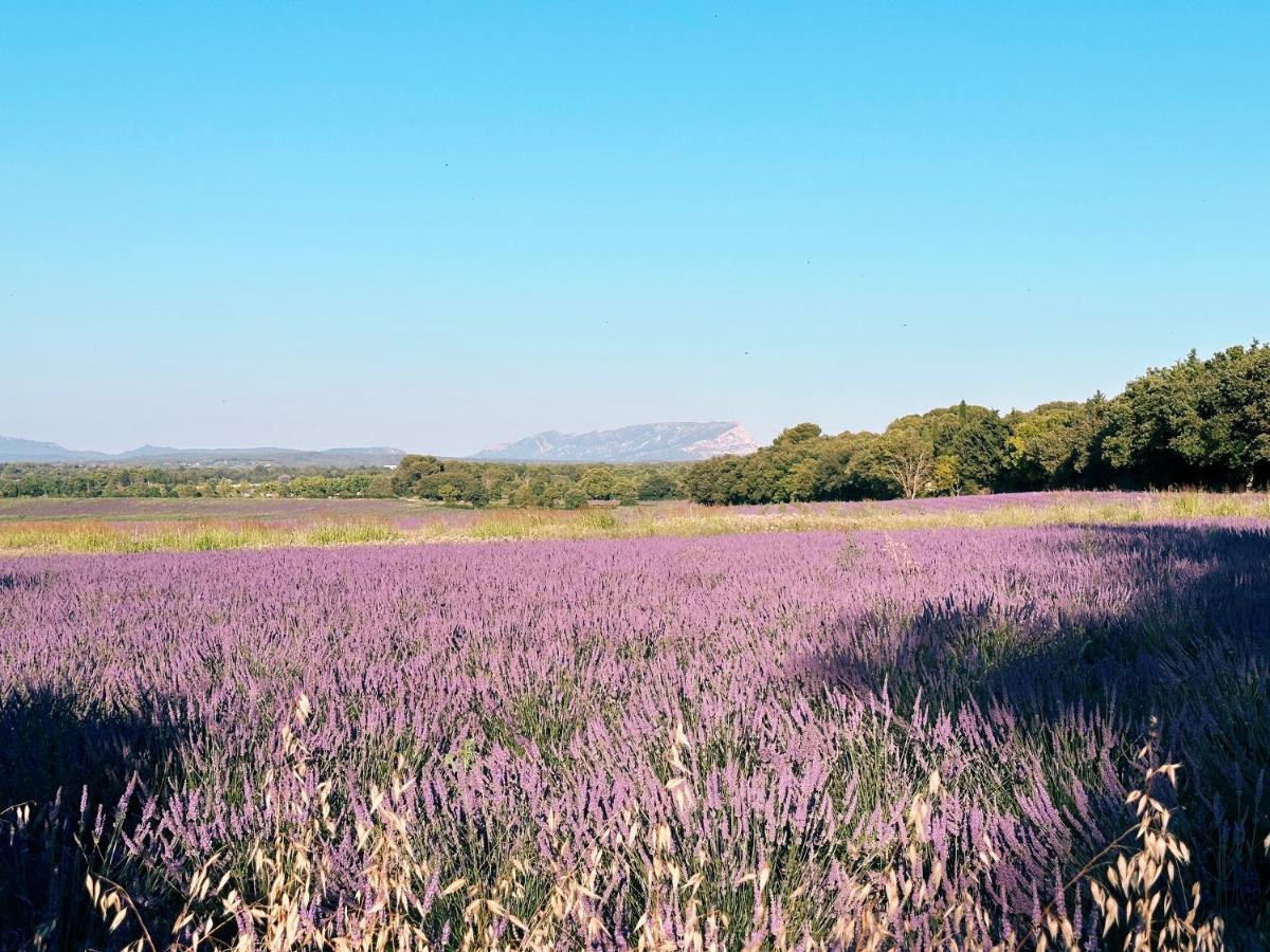 Maison Francoise Bed & Breakfast Aix-en-Provence Eksteriør bilde