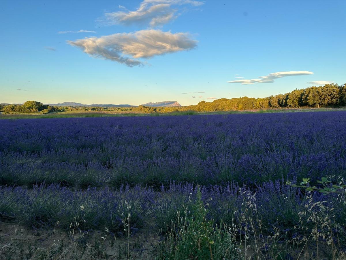 Maison Francoise Bed & Breakfast Aix-en-Provence Eksteriør bilde