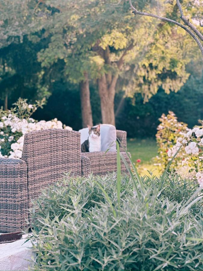 Maison Francoise Bed & Breakfast Aix-en-Provence Eksteriør bilde